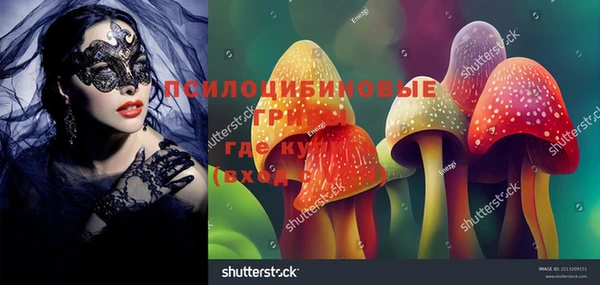 ECSTASY Арсеньев