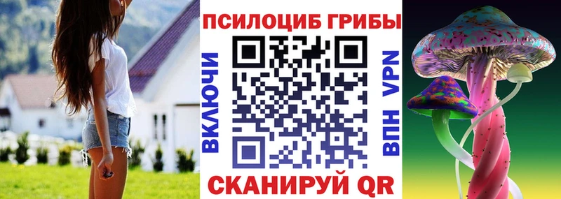 Купить закладки  Луховицы  Псилоцибиновые грибы GOLDEN TEACHER 